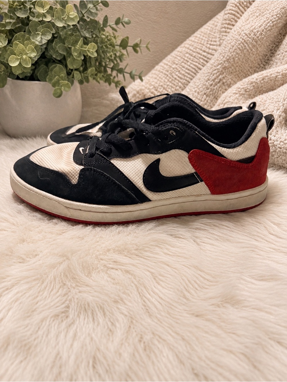 Nike SB Dunk Low Pro Red sneakers